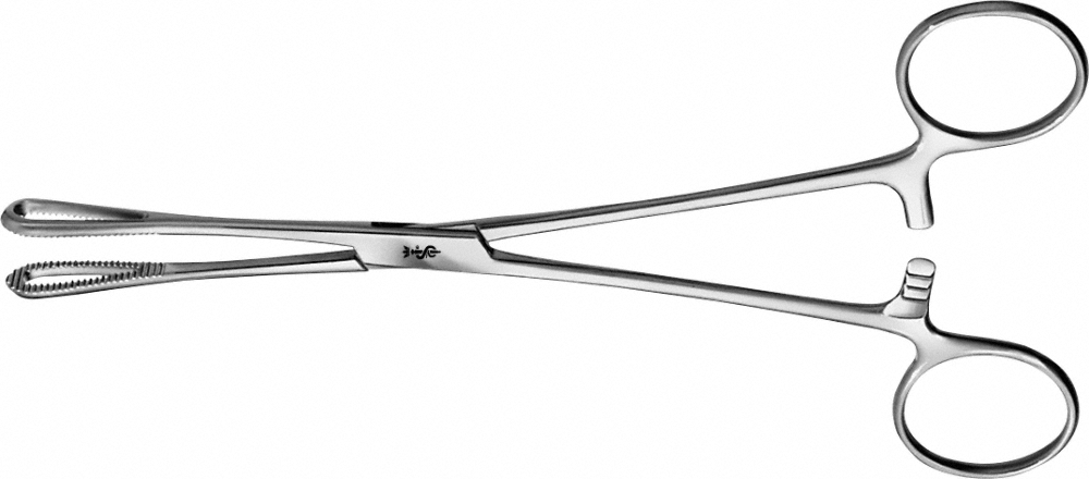 HAUPTBILD BF116R, BH-150-01-P-Aesculap Article Picture (Media Manager)