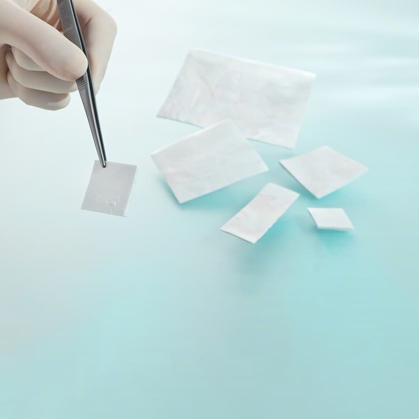 Lyoplant® Onlay-Product Picture CW Enlargement